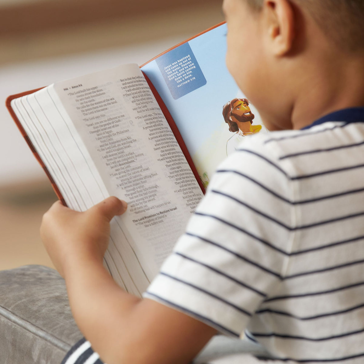 ICB, Holy Bible, Hardcover: International Children's Bible - For Kids Ages 6 to 12