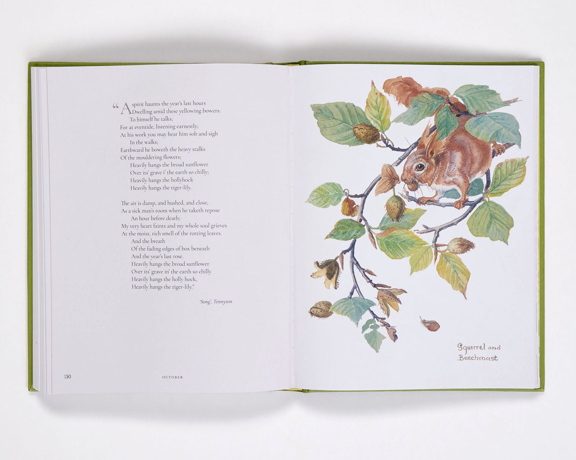Nature Notes of an Edwardian Lady