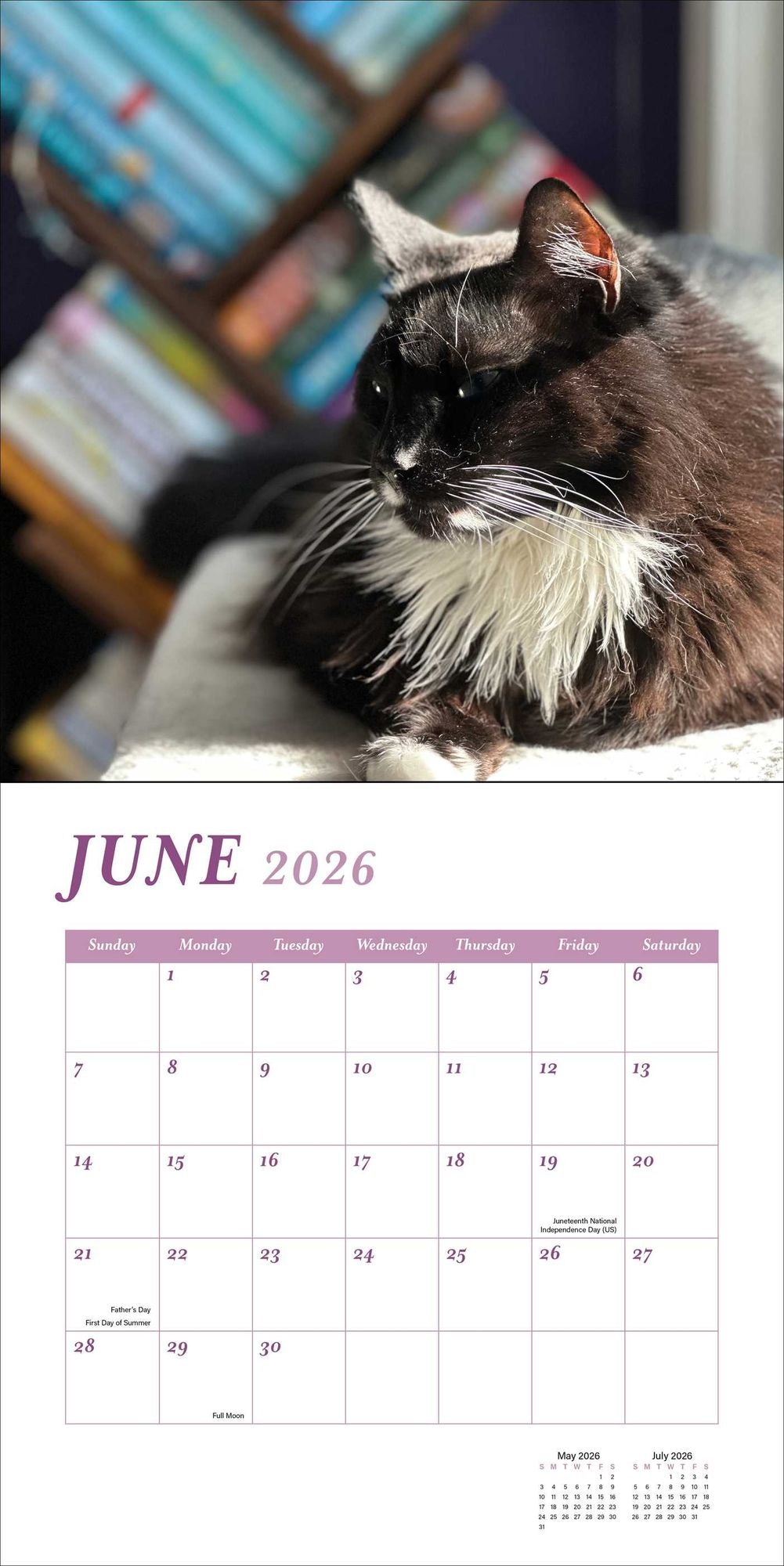 2026 Cats and Books Wall Calendar