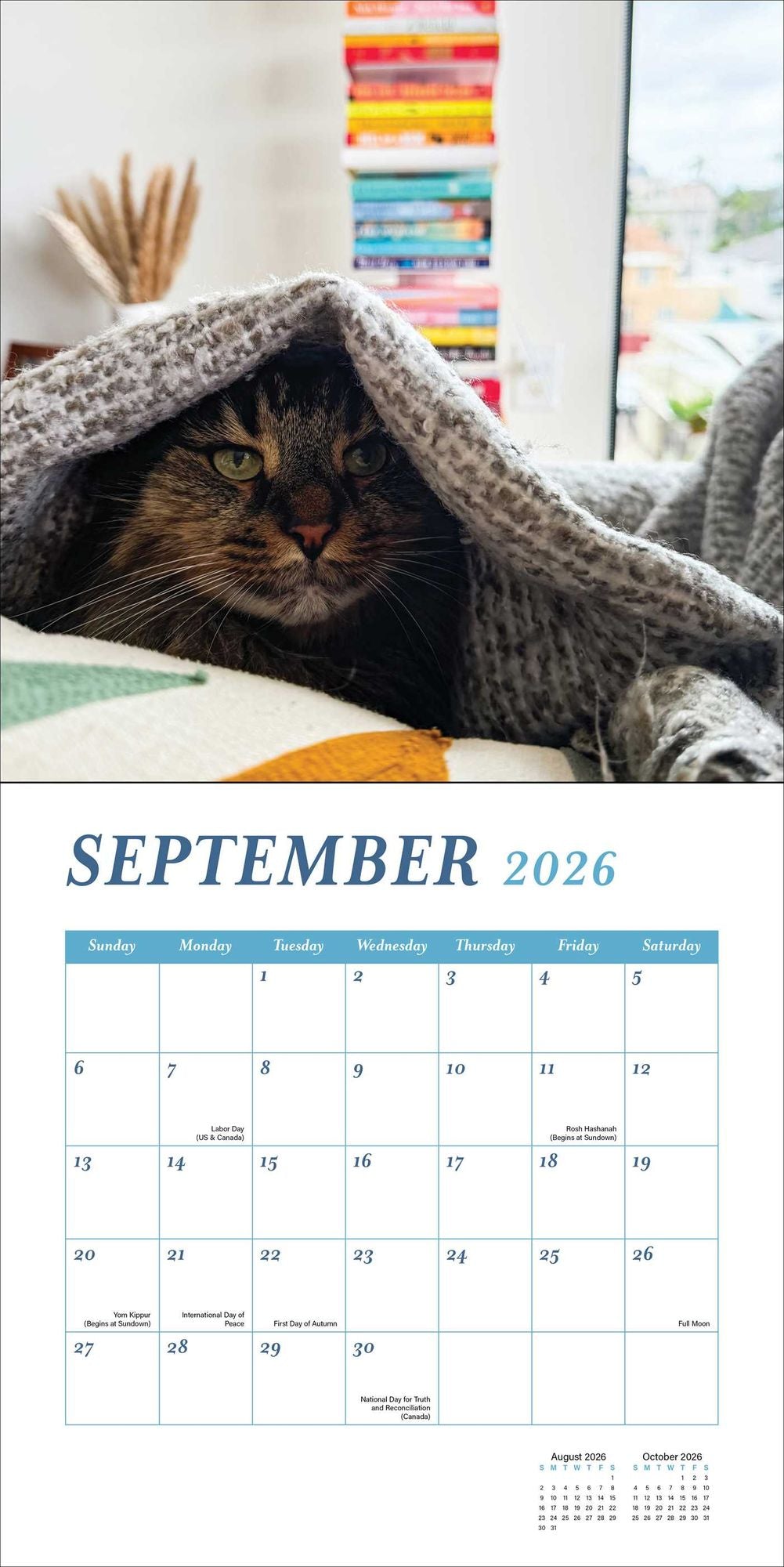2026 Cats and Books Wall Calendar
