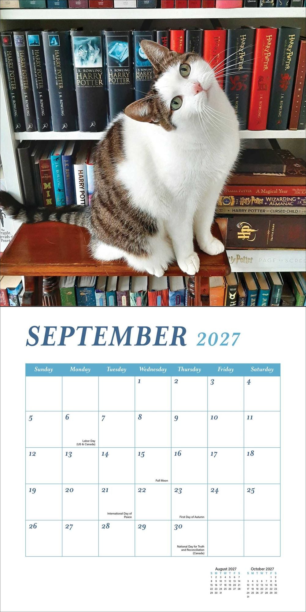 2027 Cats and Books Wall Calendar