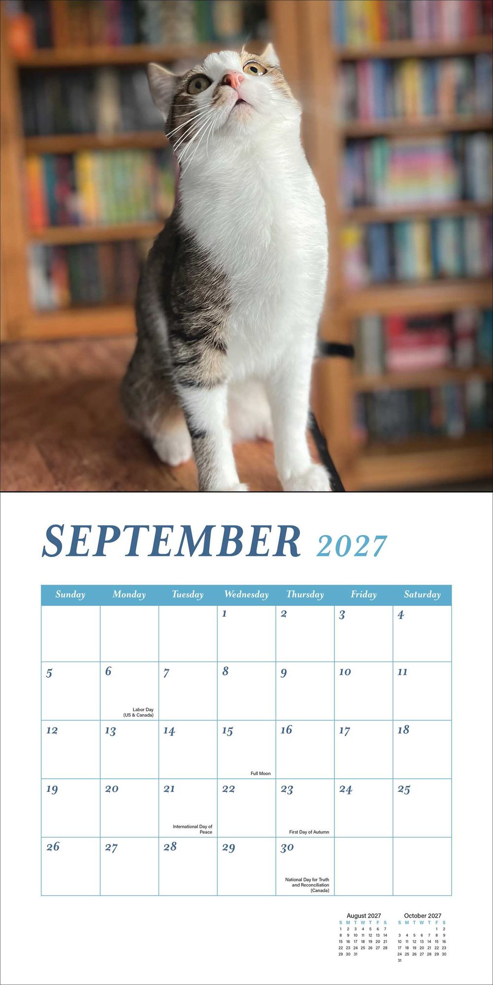 2027 Cats and Books Wall Calendar
