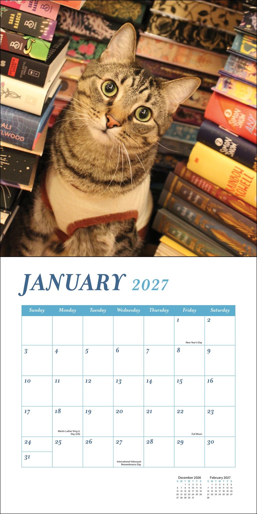 2027 Cats and Books Wall Calendar