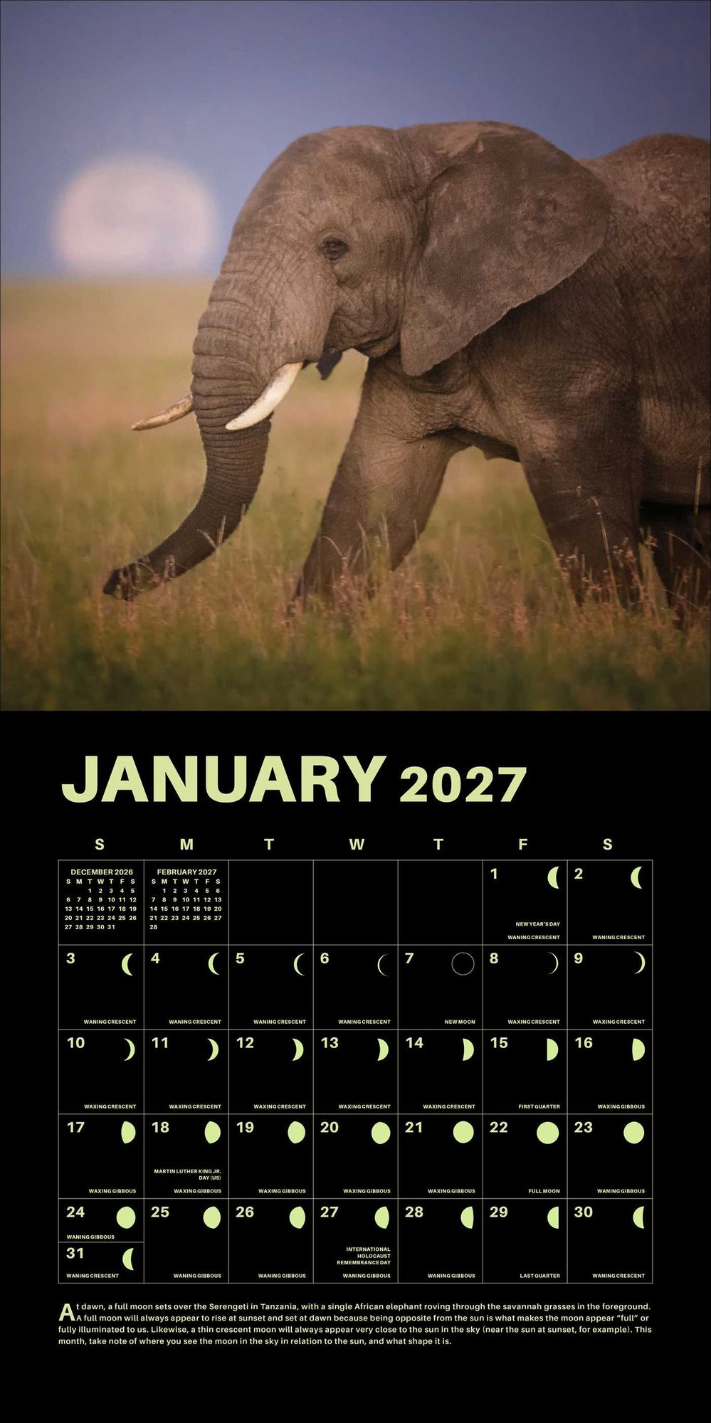 2027 Lunar Wall Calendar