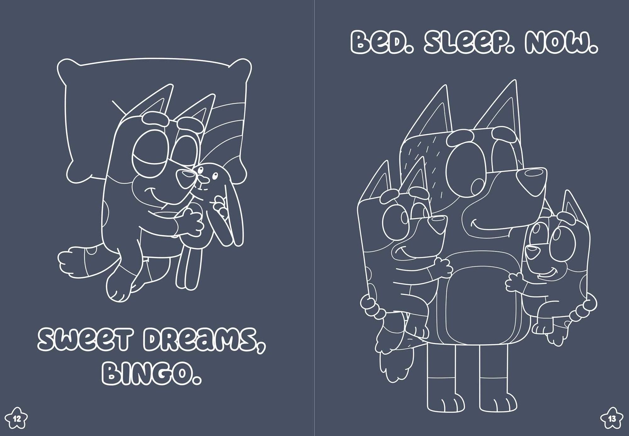 Bluey: Sweet Dreams, Bluey