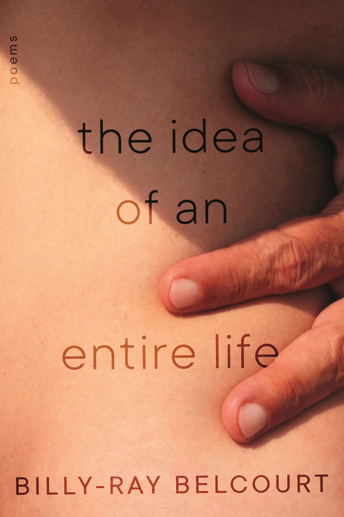 The Idea of an Entire Life: Poems