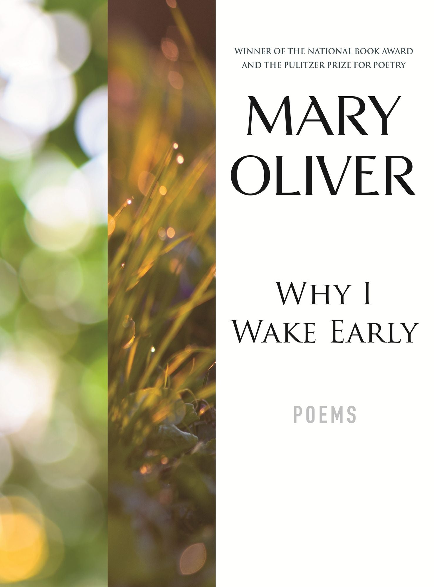 Why I Wake Early