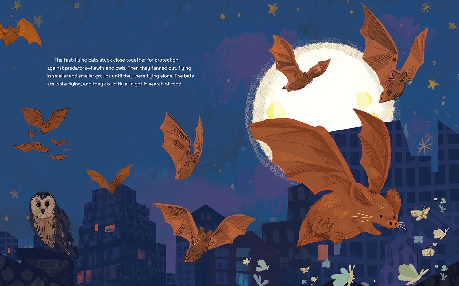 Bats Beneath the Bridge