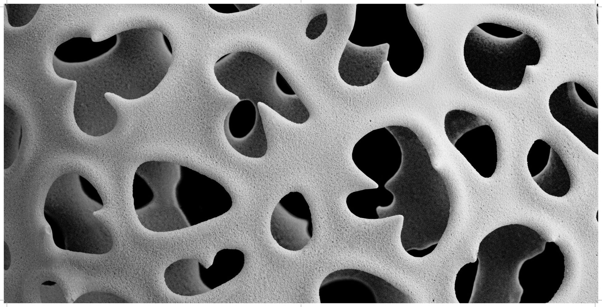 Nanocosmos: Journeys in Electron Space