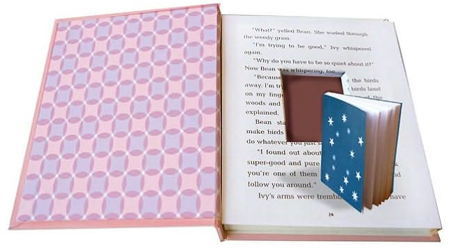 Ivy and Bean Secret Treasure Box