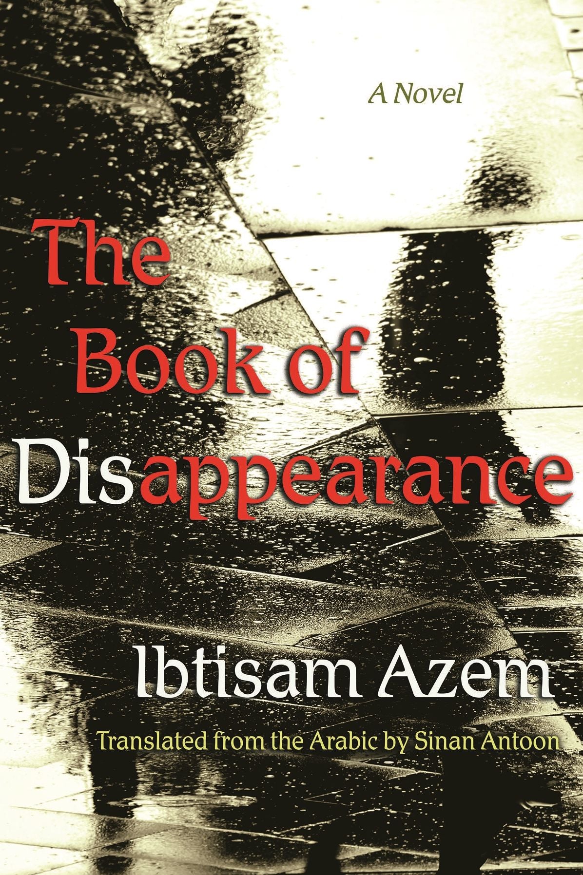 The Book of Disappearance: A Novel