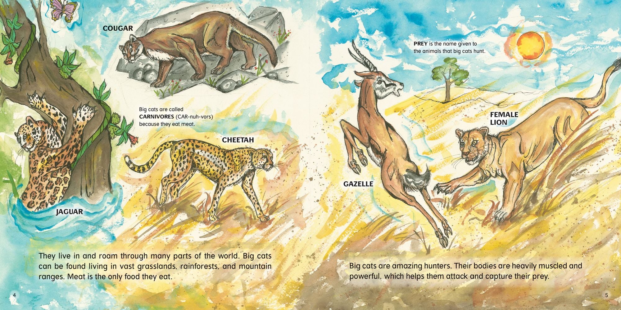 Big Cats!