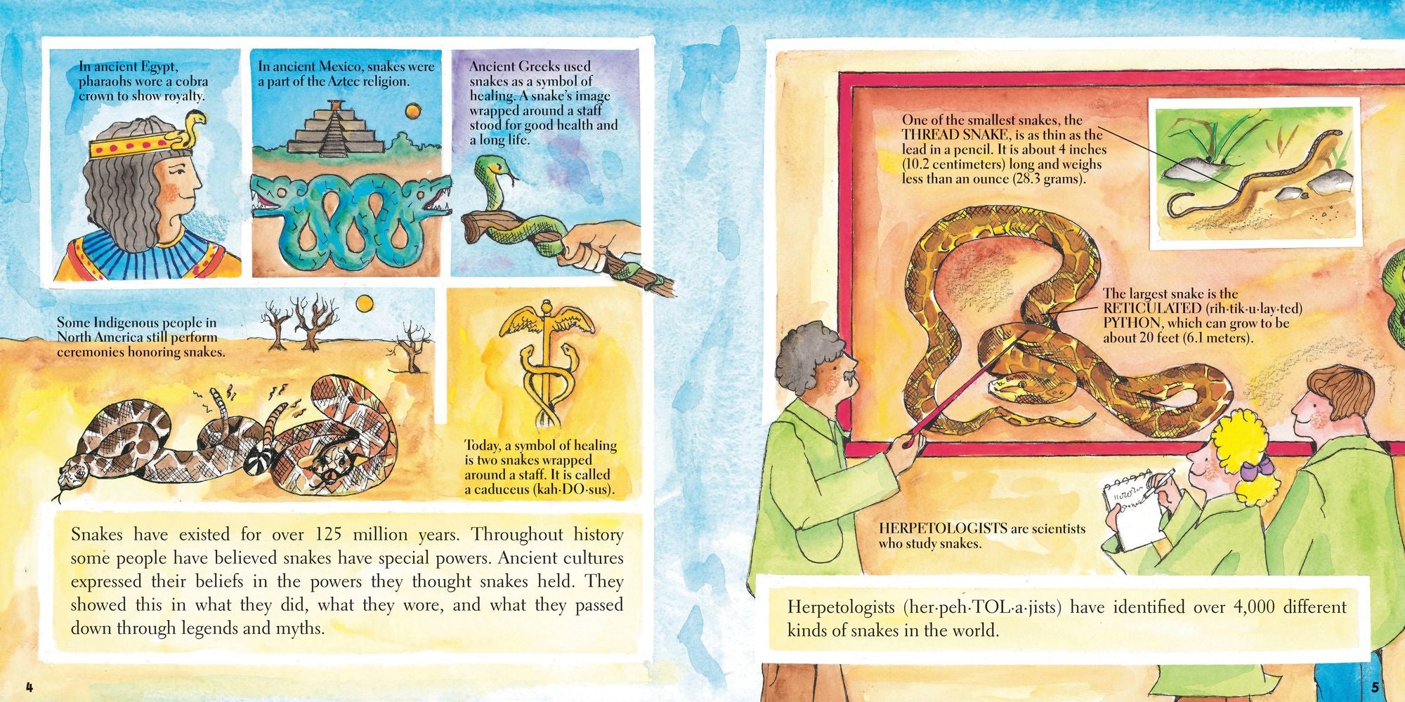 Snakes (New & Updated)