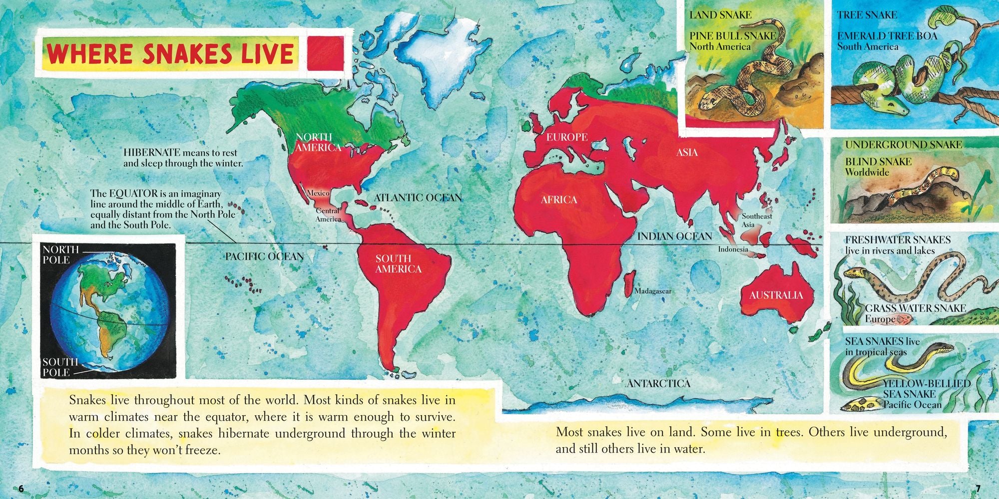 Snakes (New & Updated)