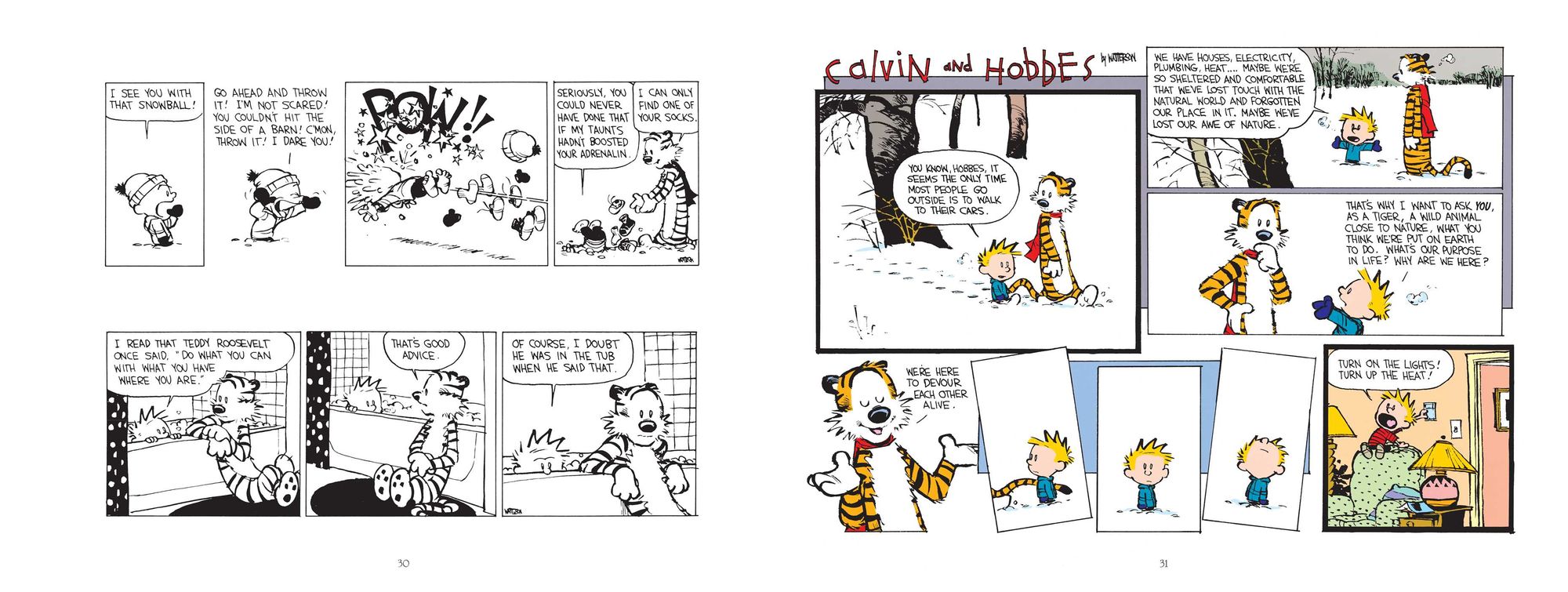 The Days Are Just Packed: A Calvin and Hobbes Collection