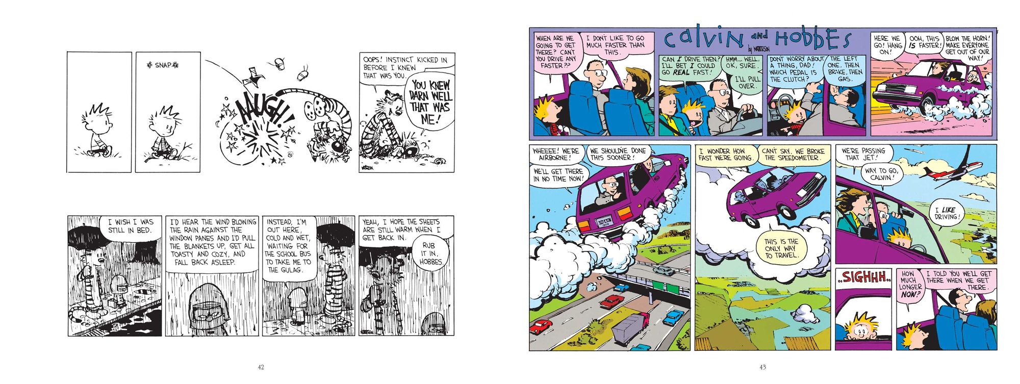 The Days Are Just Packed: A Calvin and Hobbes Collection