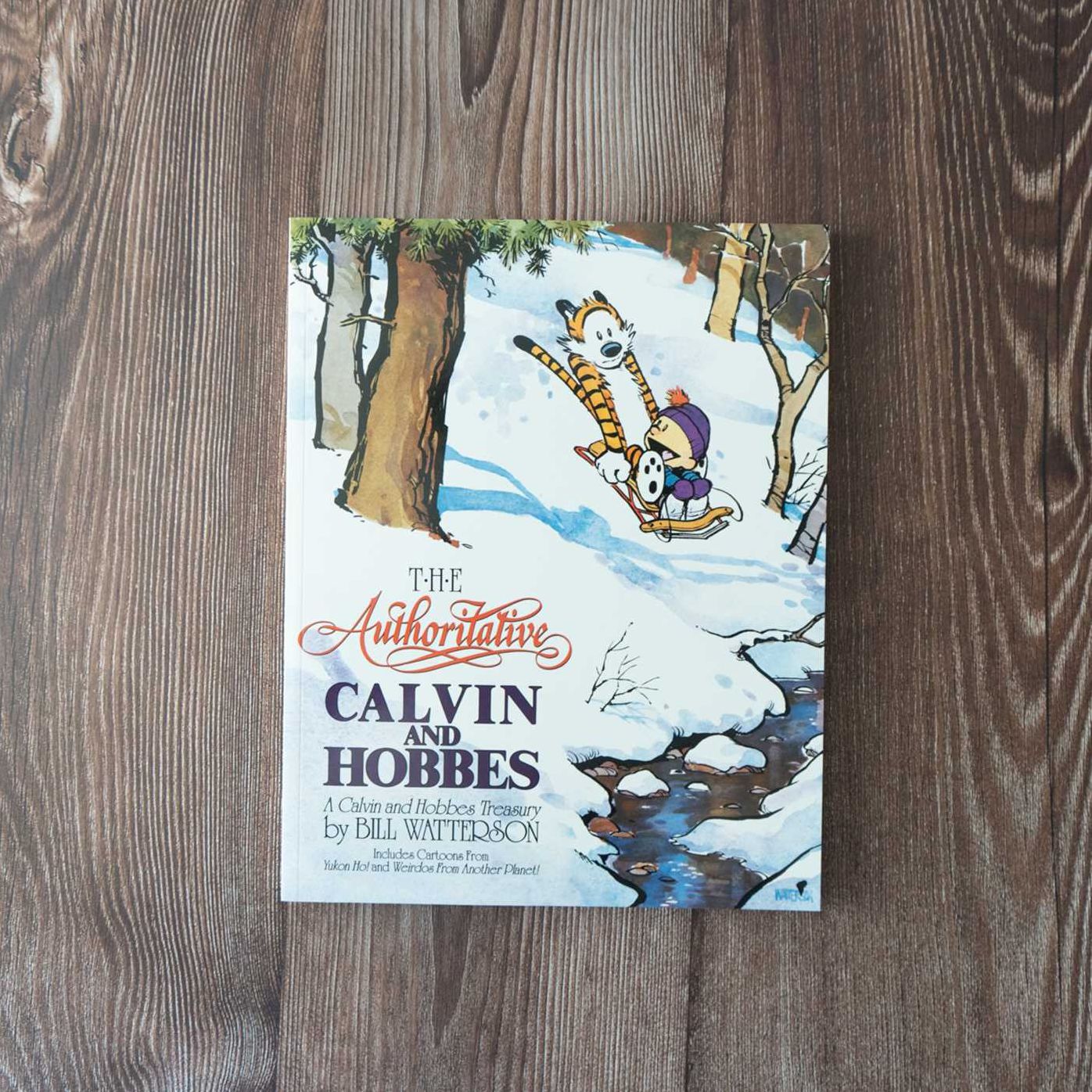 The Authoritative Calvin and Hobbes: A Calvin and Hobbes Treasury