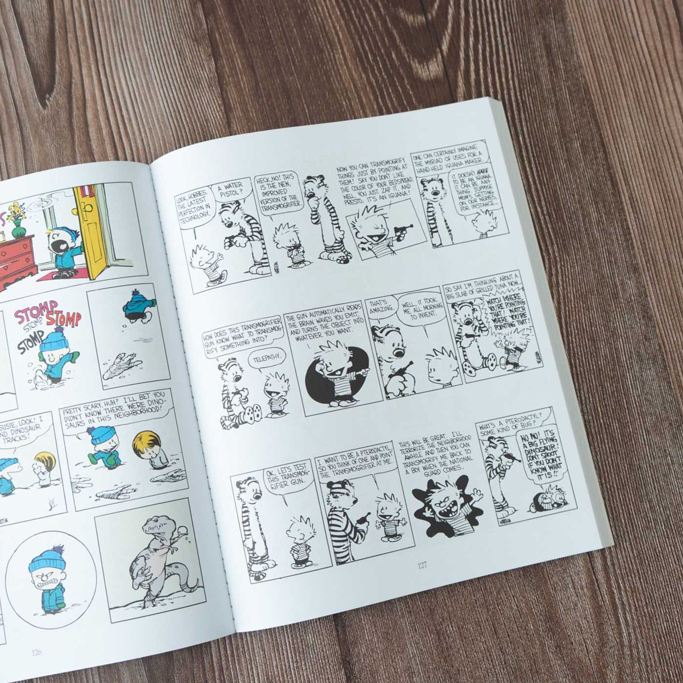 The Authoritative Calvin and Hobbes: A Calvin and Hobbes Treasury