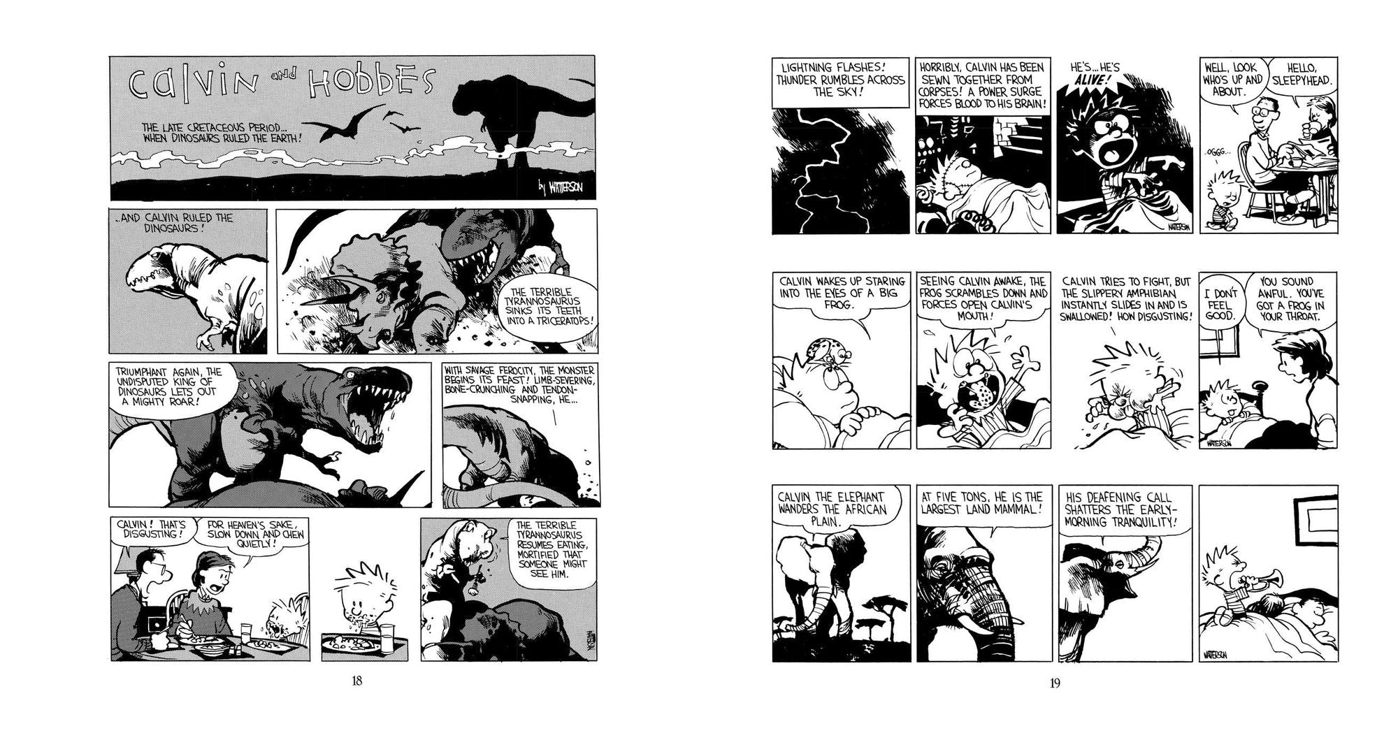 Weirdos from Another Planet!: A Calvin and Hobbes Collection
