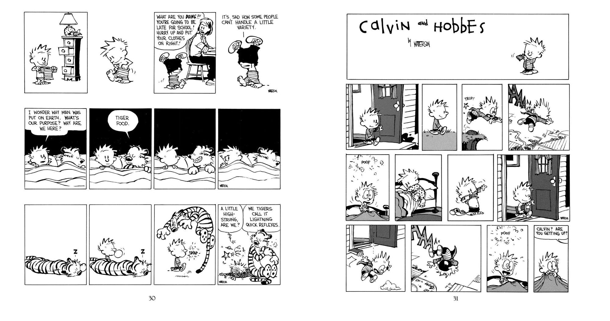 Scientific Progress Goes "Boink": A Calvin and Hobbes Collection