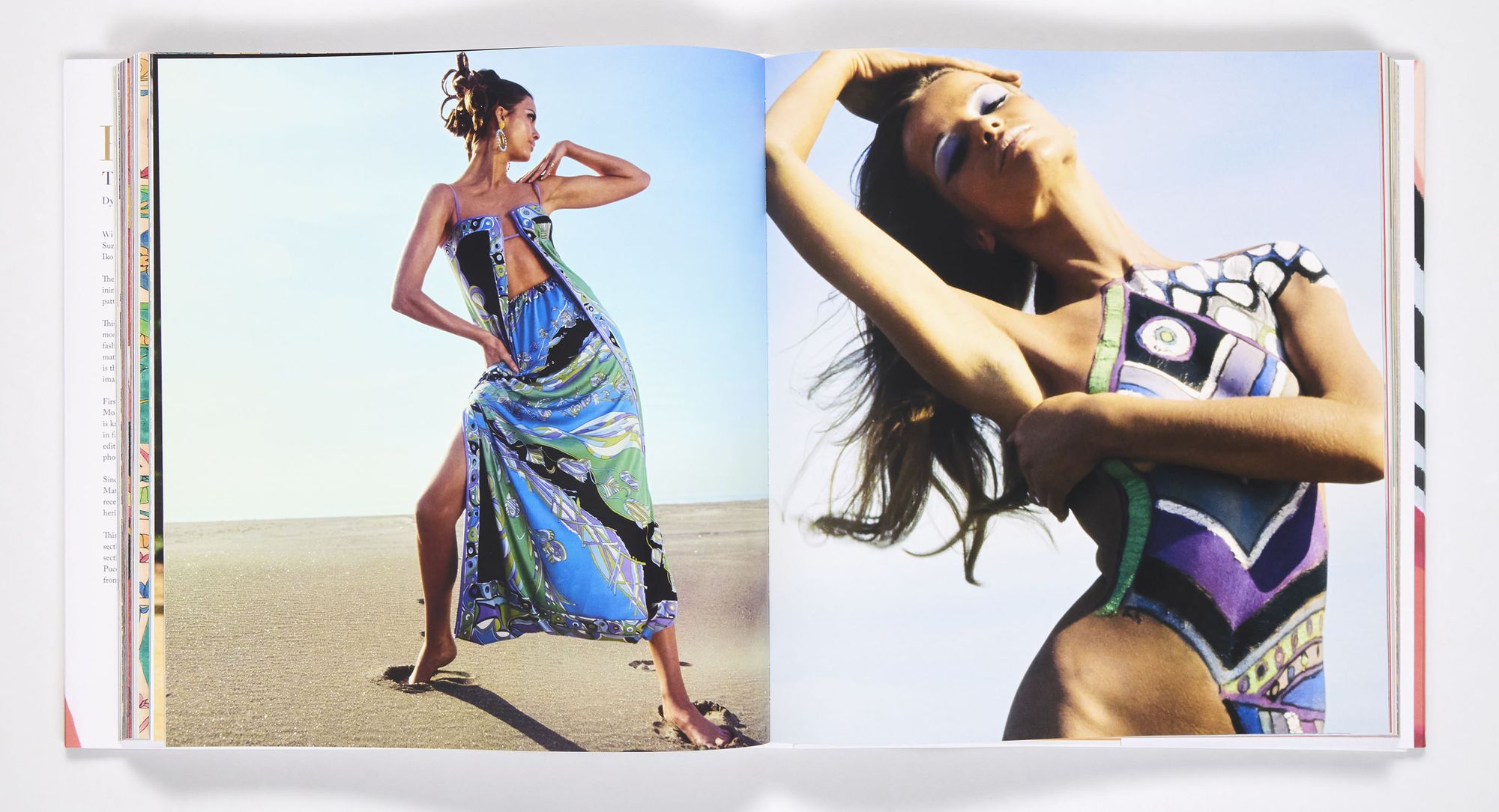 Pucci: The Art of Fashion