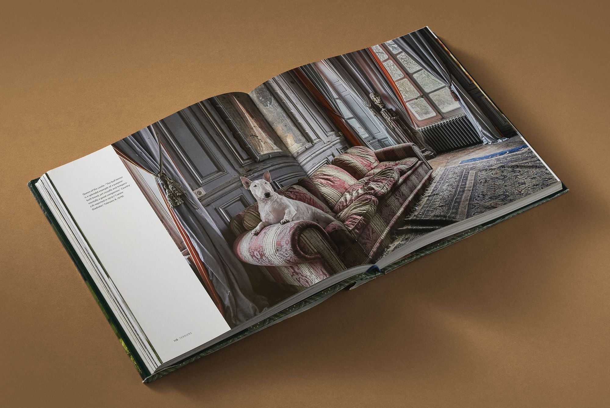 Country Life's Book of Dogs