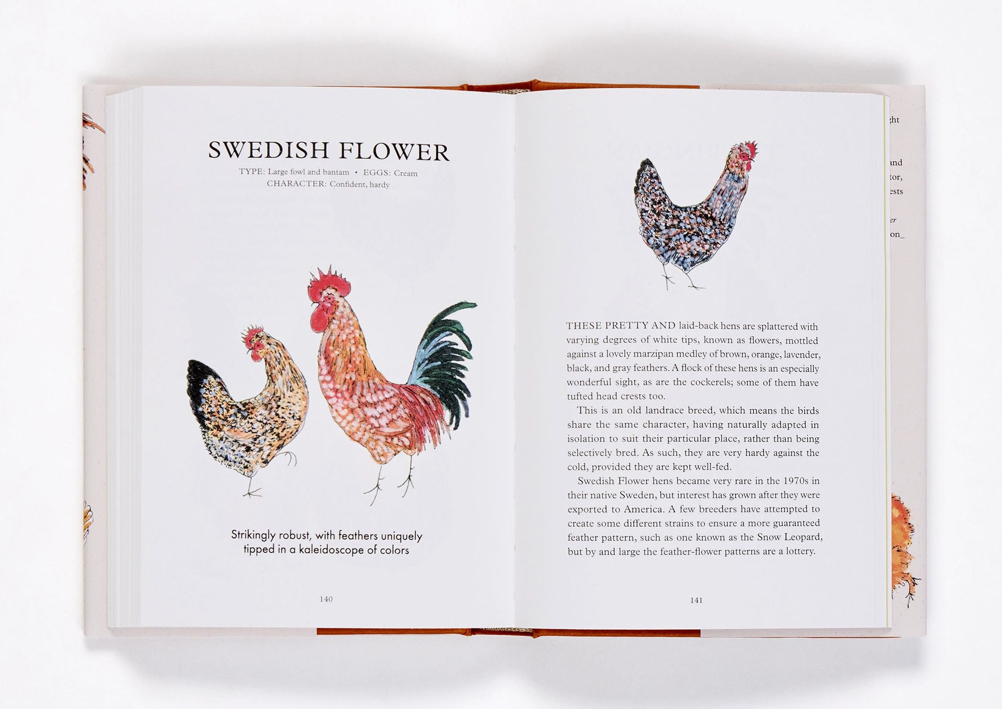 Hen Party: A Celebration of Fancy Fowl