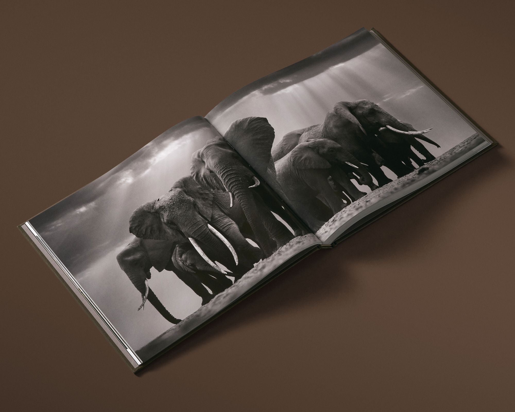 The Earth We Share: Extraordinary Photography of Our Vanishing Species