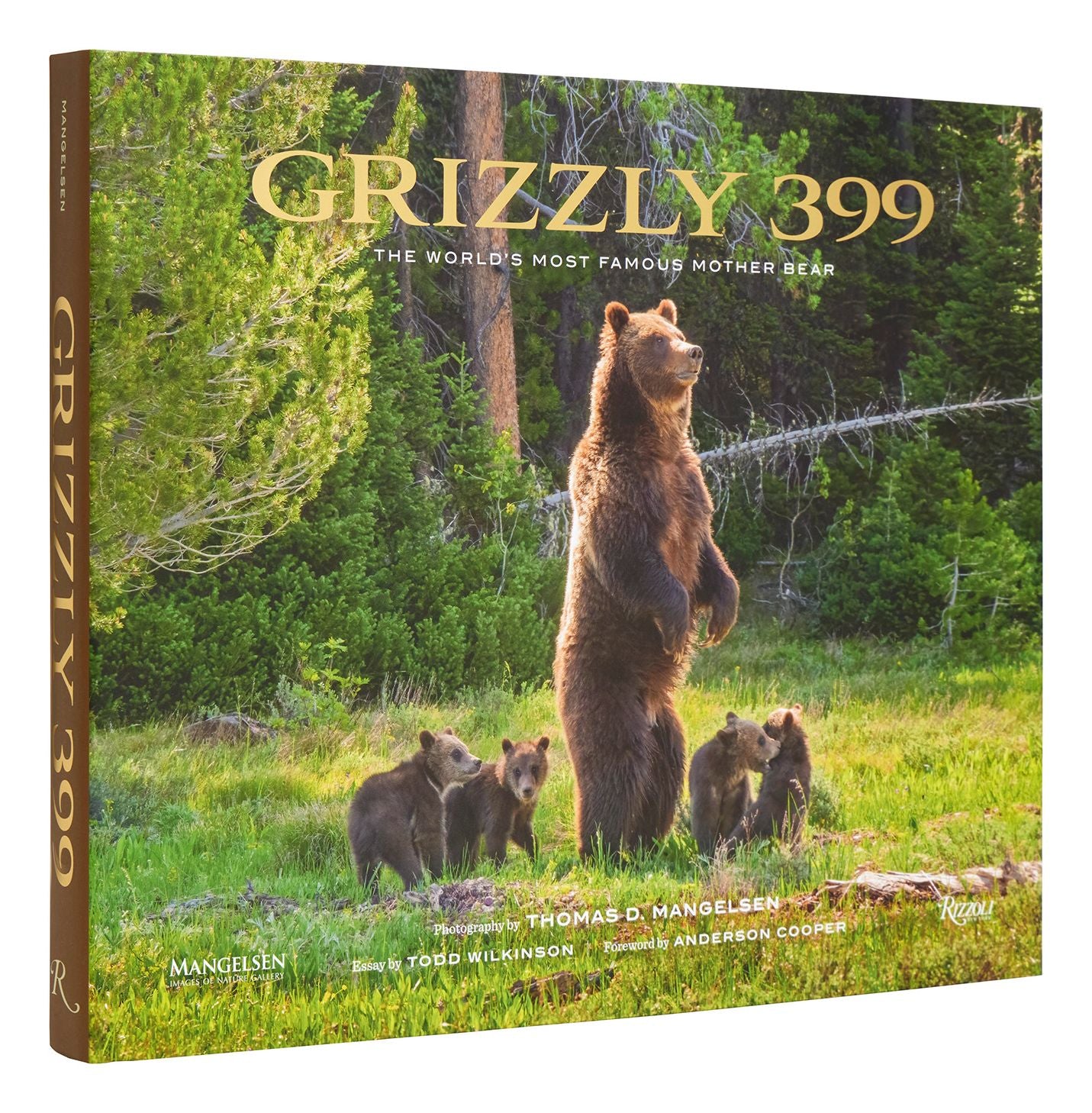 Grizzly 399: The World's Most Famous Mother Bear