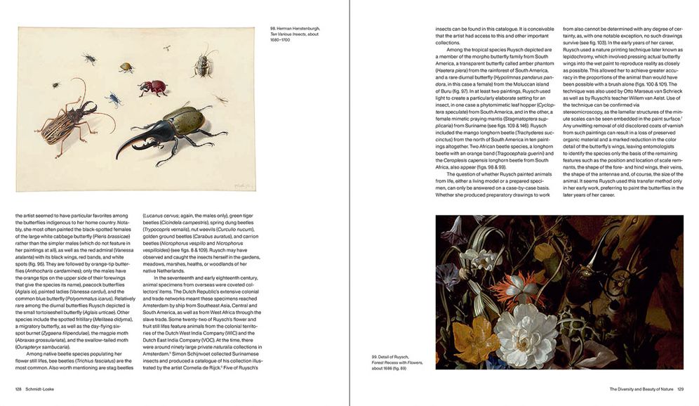 Rachel Ruysch: Nature into Art
