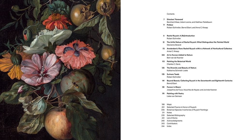 Rachel Ruysch: Nature into Art