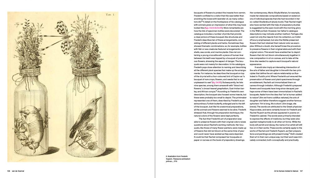 Rachel Ruysch: Nature into Art