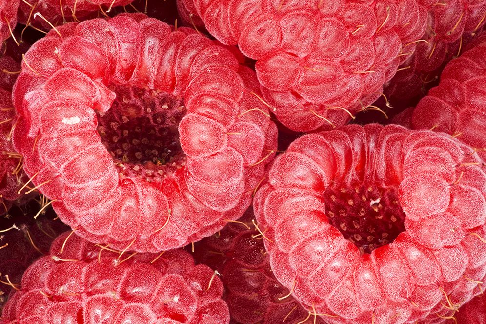 The Photography of Modernist Cuisine