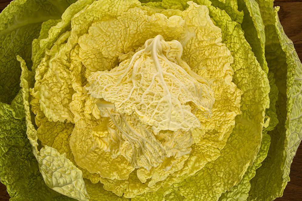 The Photography of Modernist Cuisine