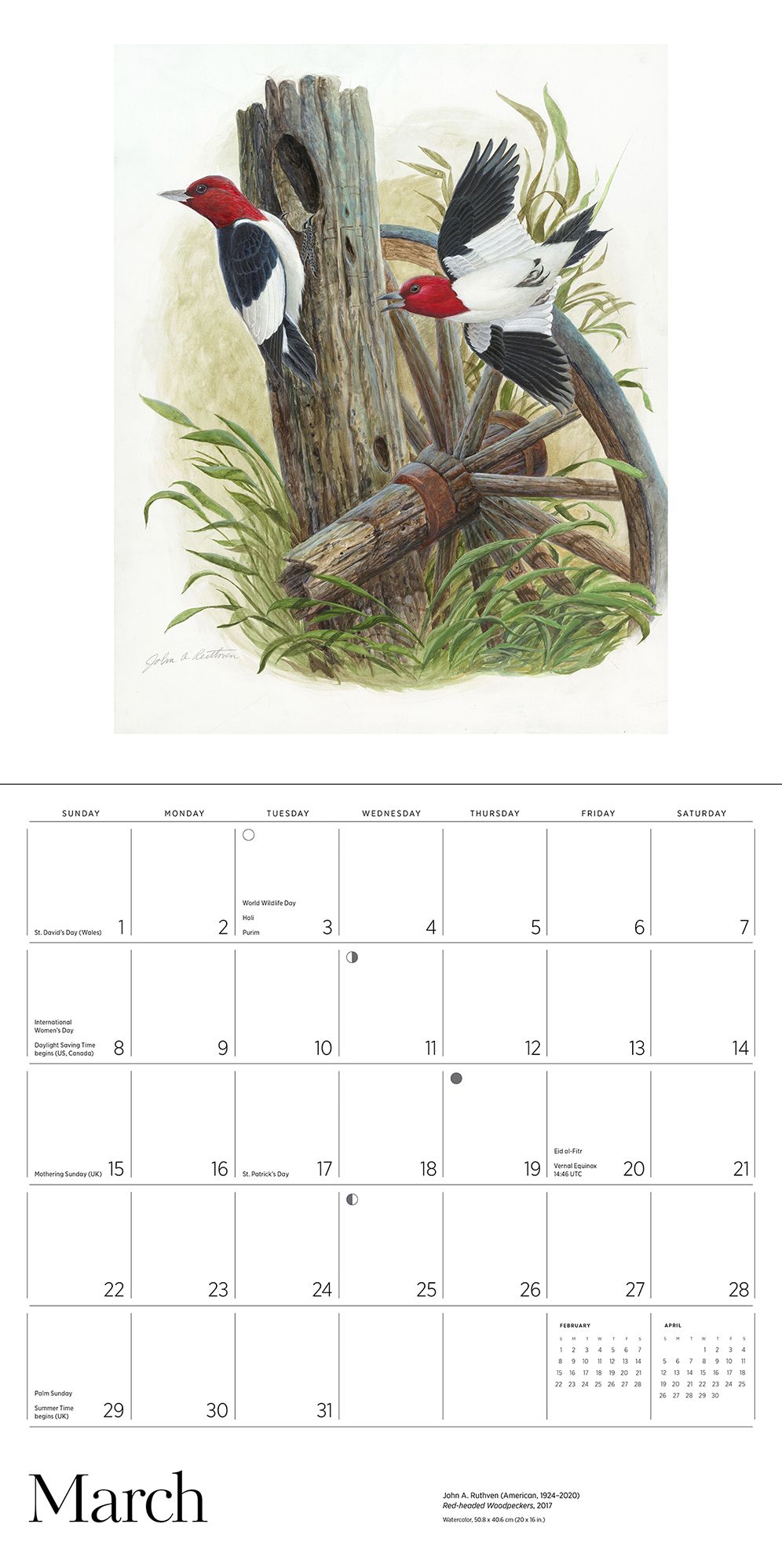 2026 A Birder's View: Paintings by John A. Ruthven Wall Calendar
