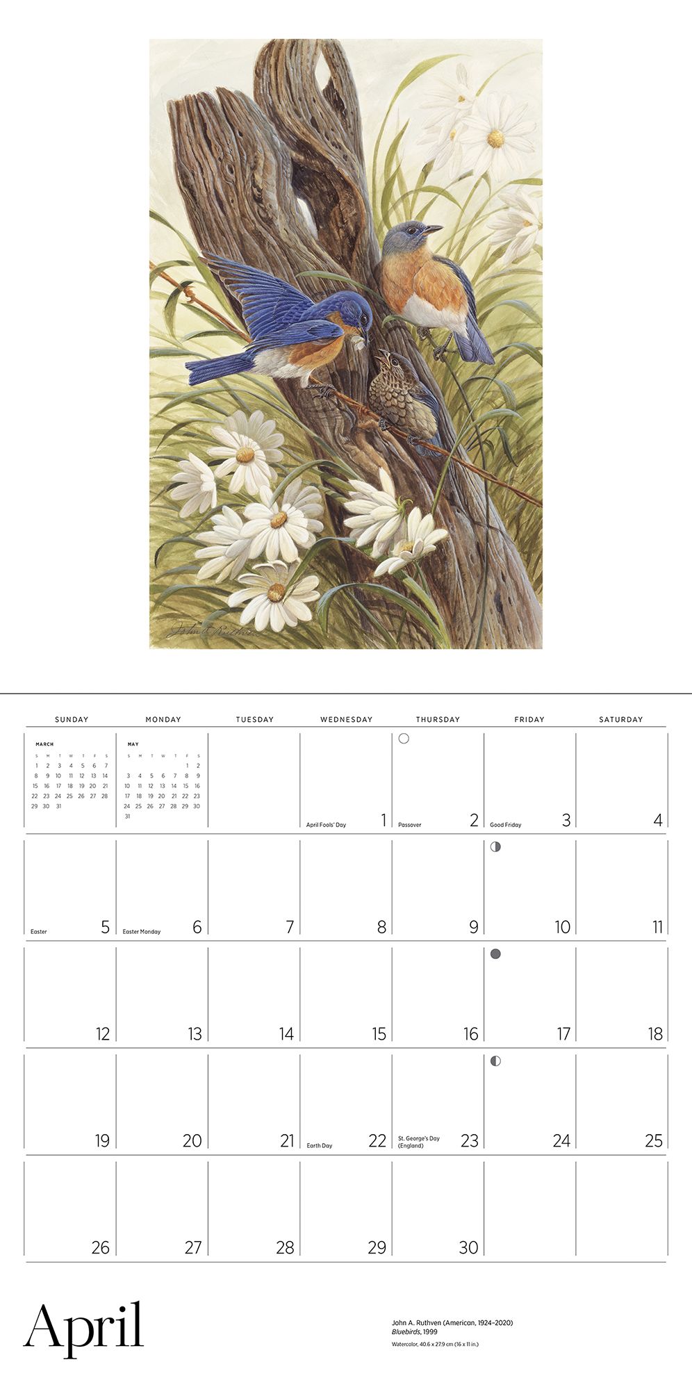 2026 A Birder's View: Paintings by John A. Ruthven Wall Calendar