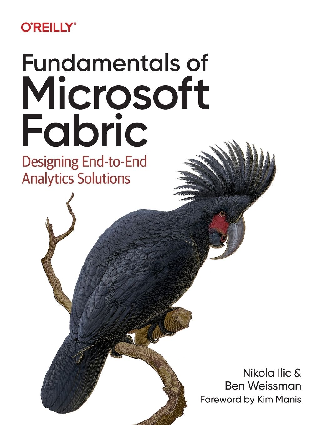 Fundamentals of Microsoft Fabric: Designing End-to-End Analytics Solutions