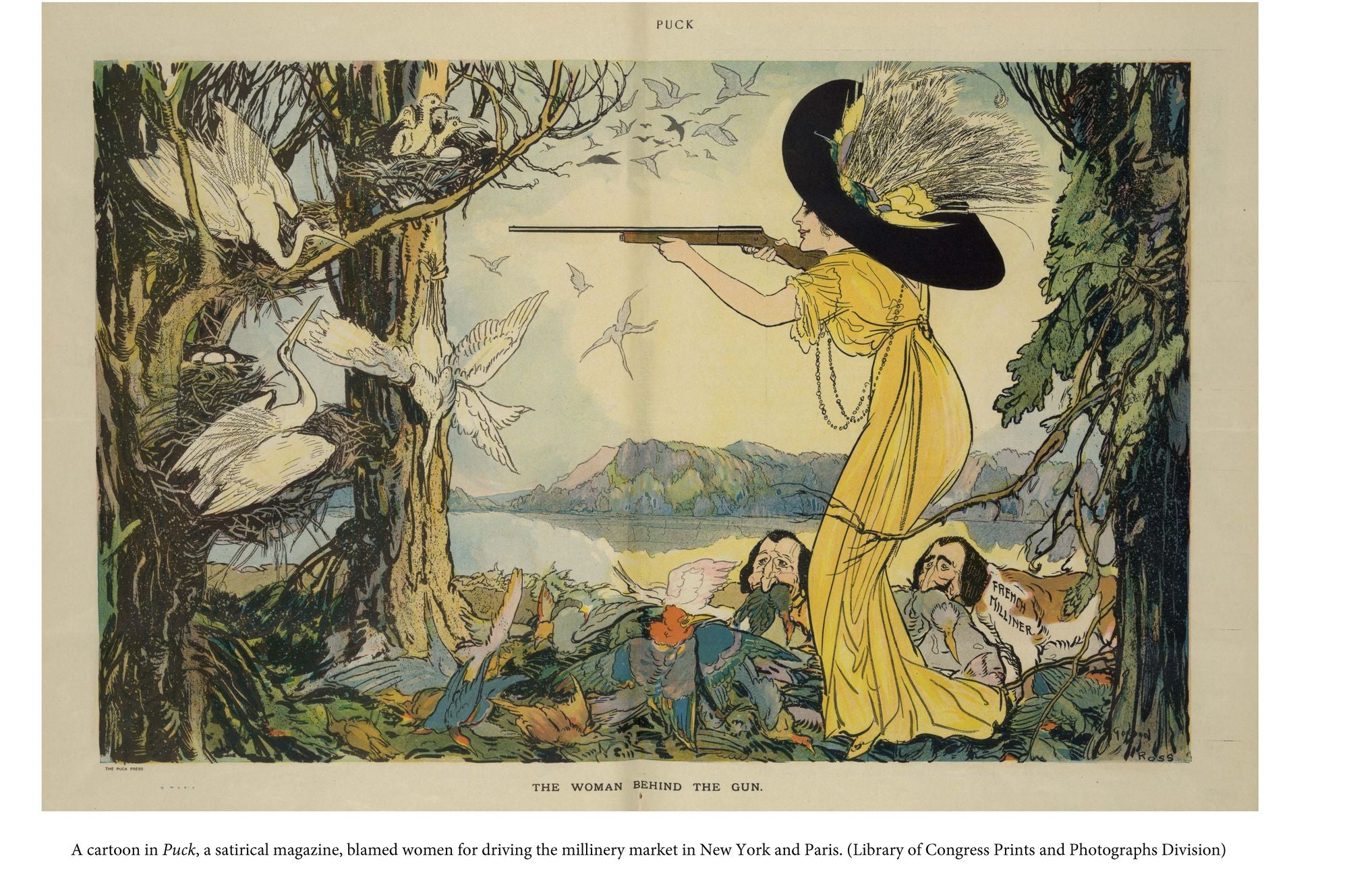 The Feather Wars: And the Great Crusade to Save America's Birds