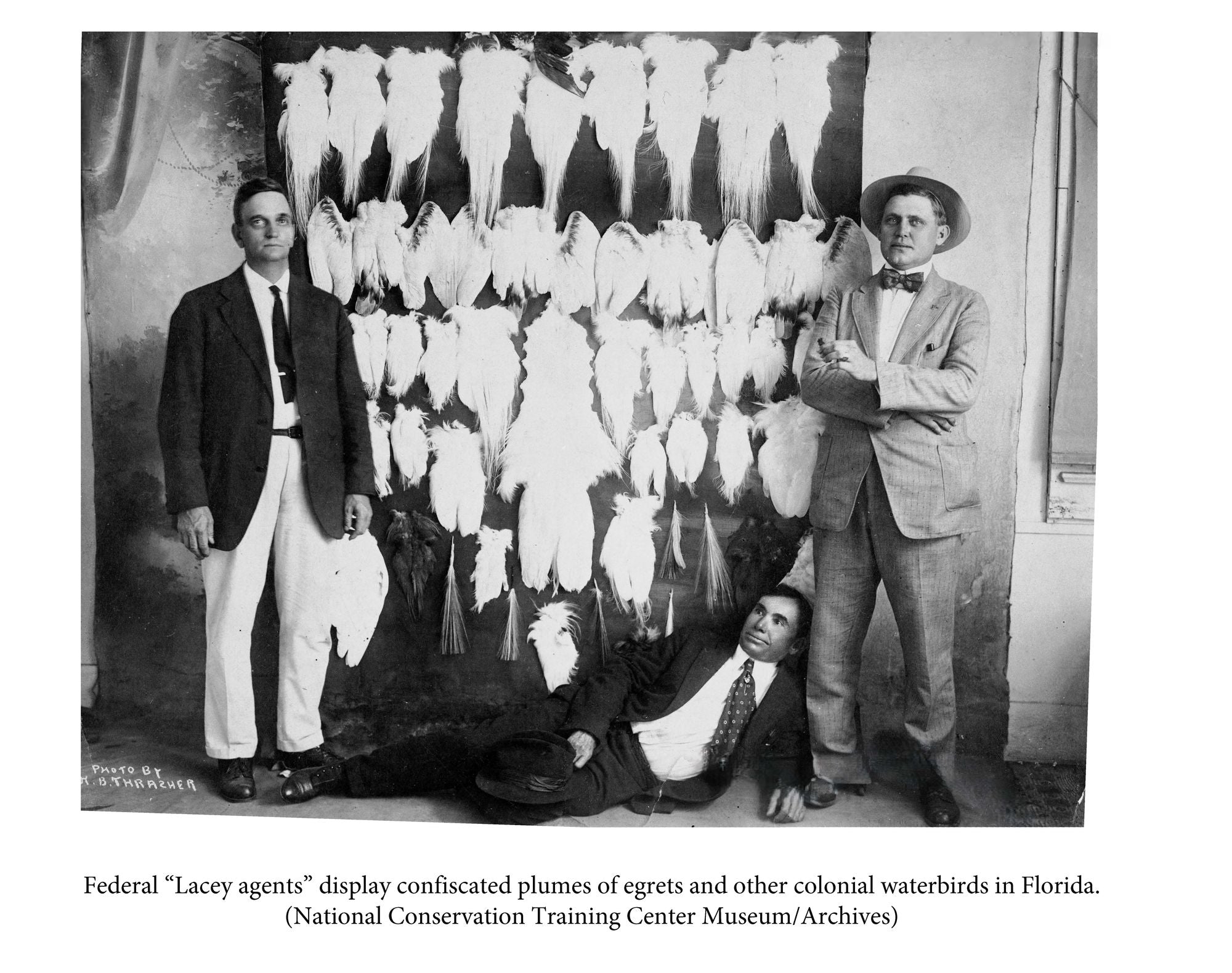 The Feather Wars: And the Great Crusade to Save America's Birds