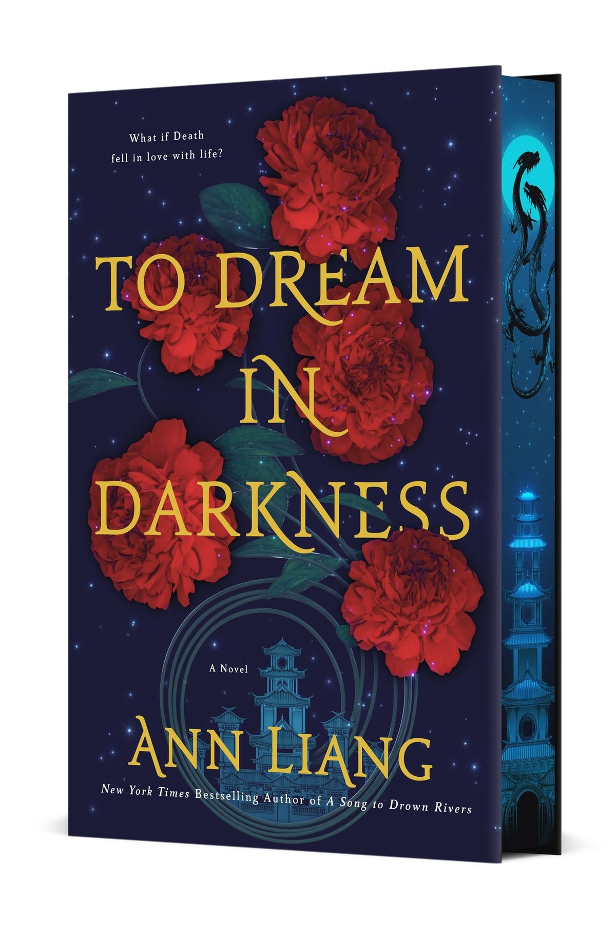 To Dream in Darkness: A Novel