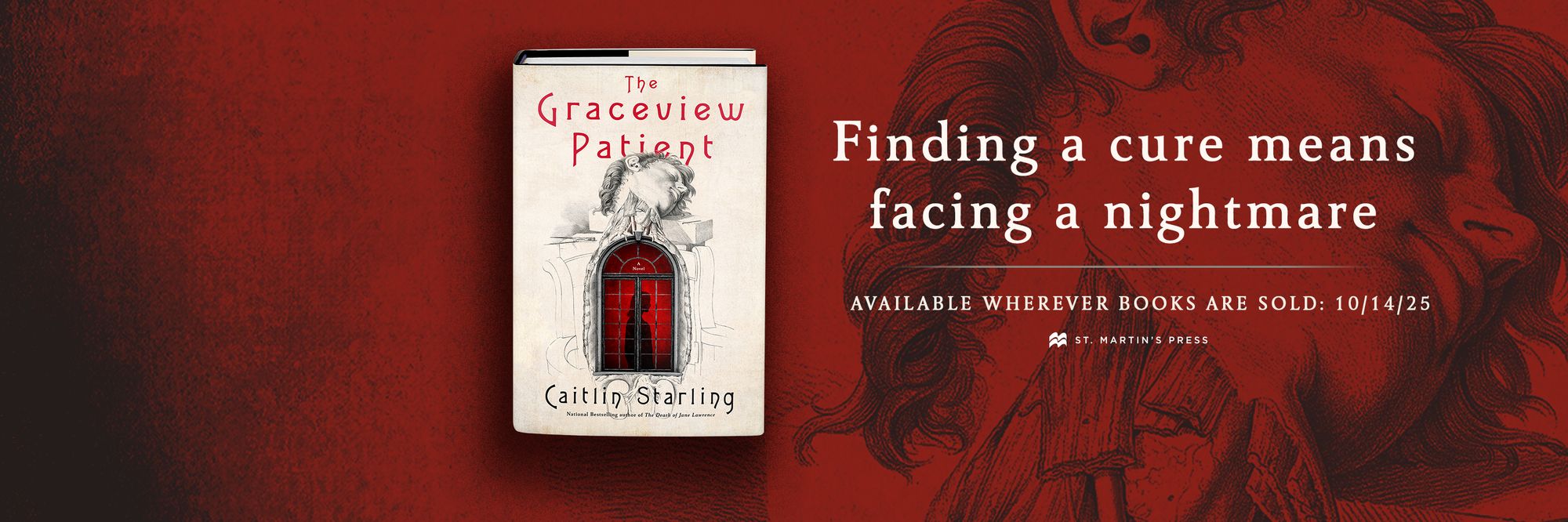 The Graceview Patient: A Novel