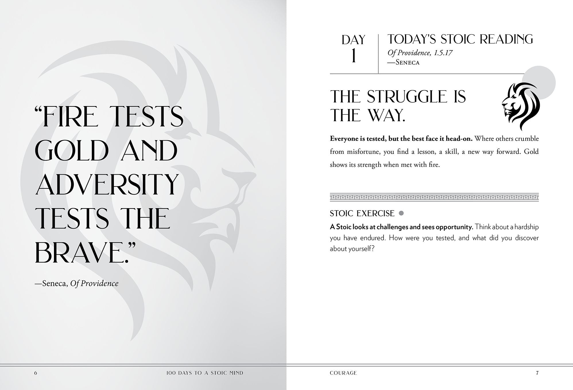 100 Days to a Stoic Mind: A Roadmap to Resilience and Finding Peace in Discipline