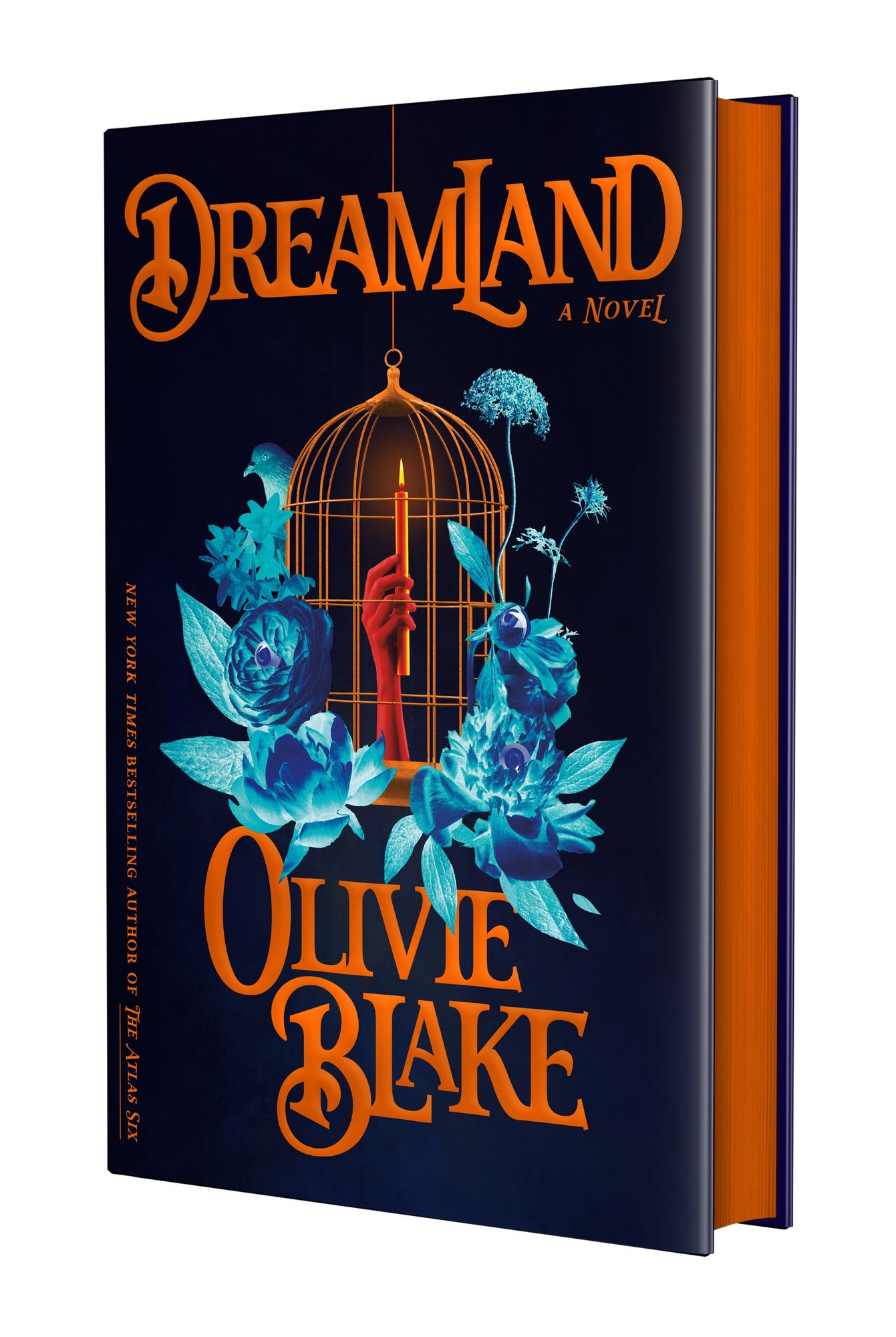 Dreamland: A Novel