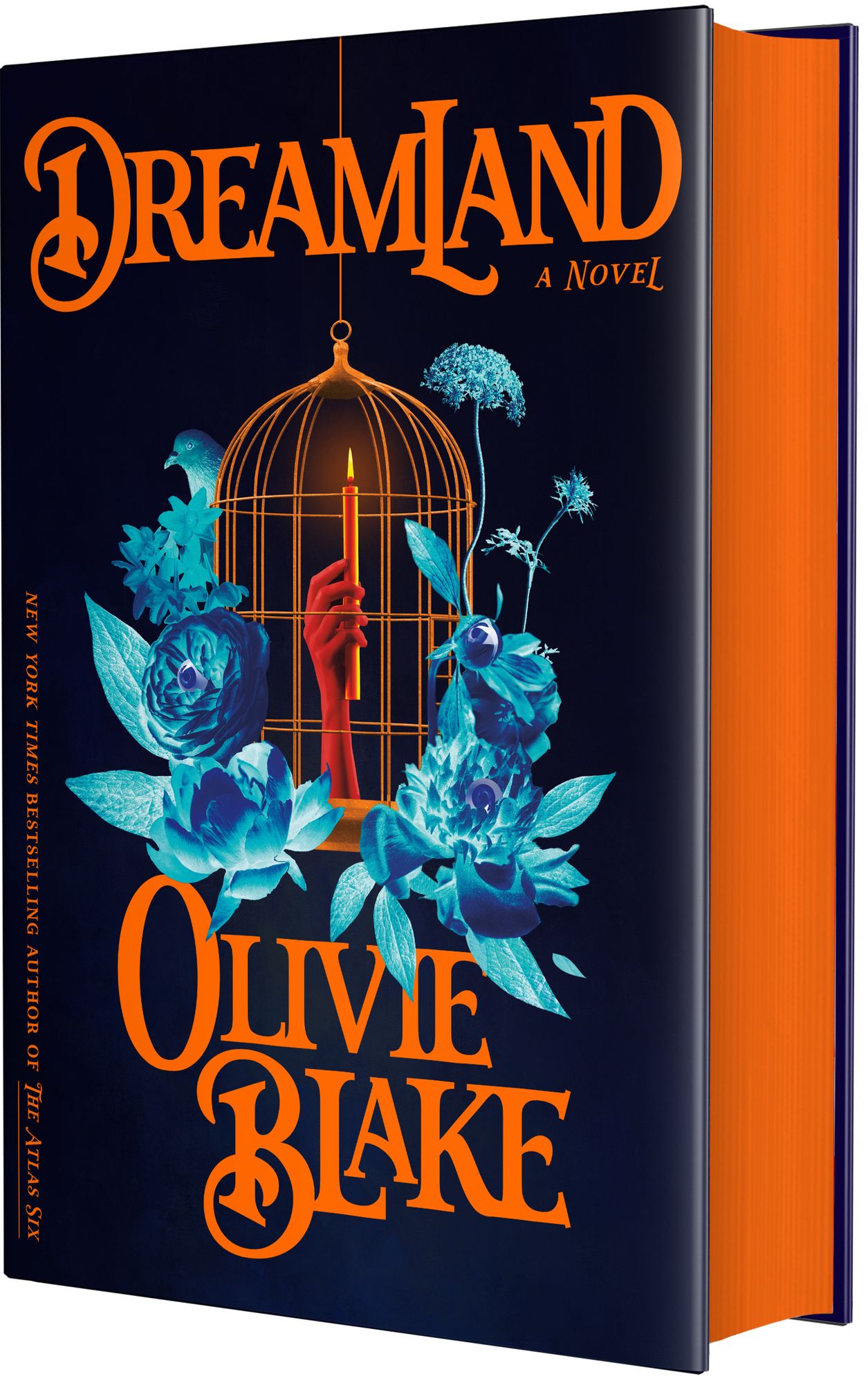 Dreamland: A Novel