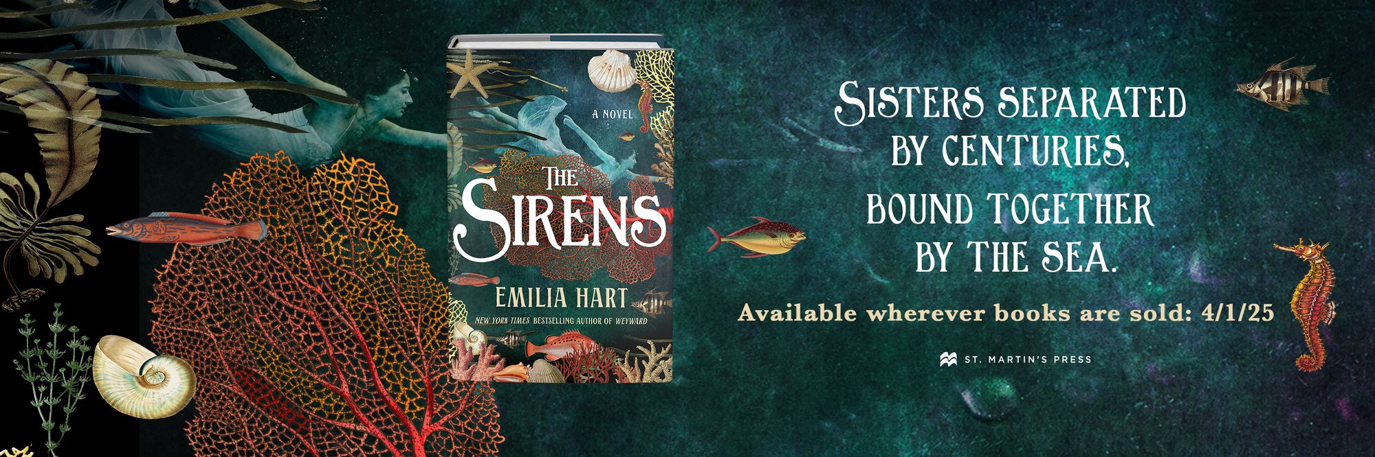 The Sirens: A Novel (B&N Exclusive Edition)