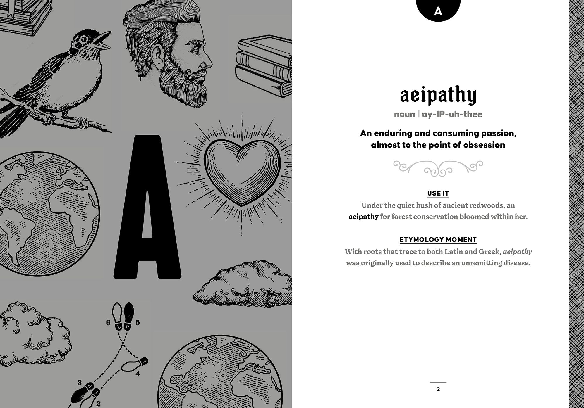 The Word Nerd Dictionary of Obscure & Enchanting Words