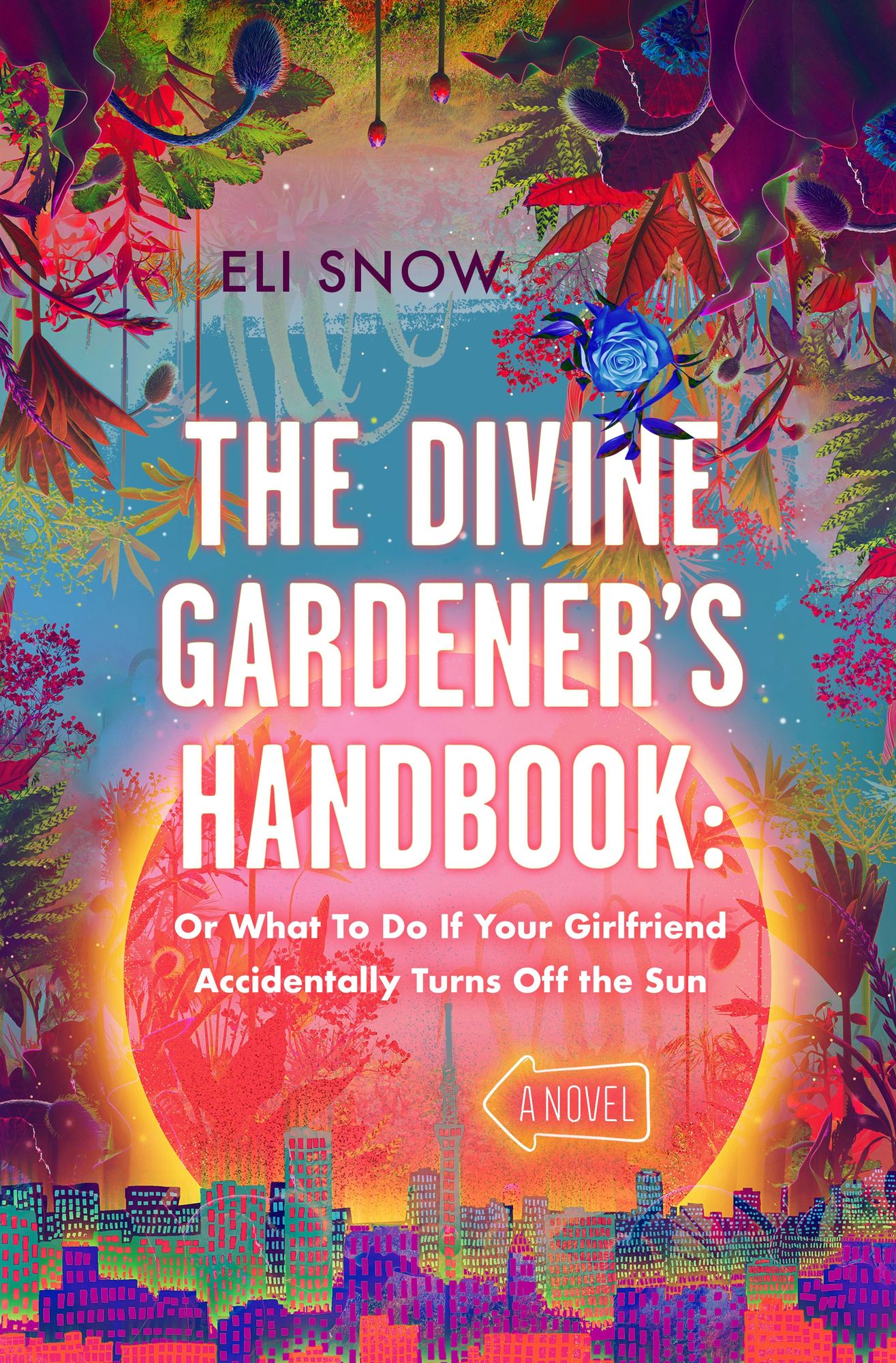 The Divine Gardener's Handbook: Or What To Do If Your Girlfriend Accidentally Turns Off the Sun: A Novel