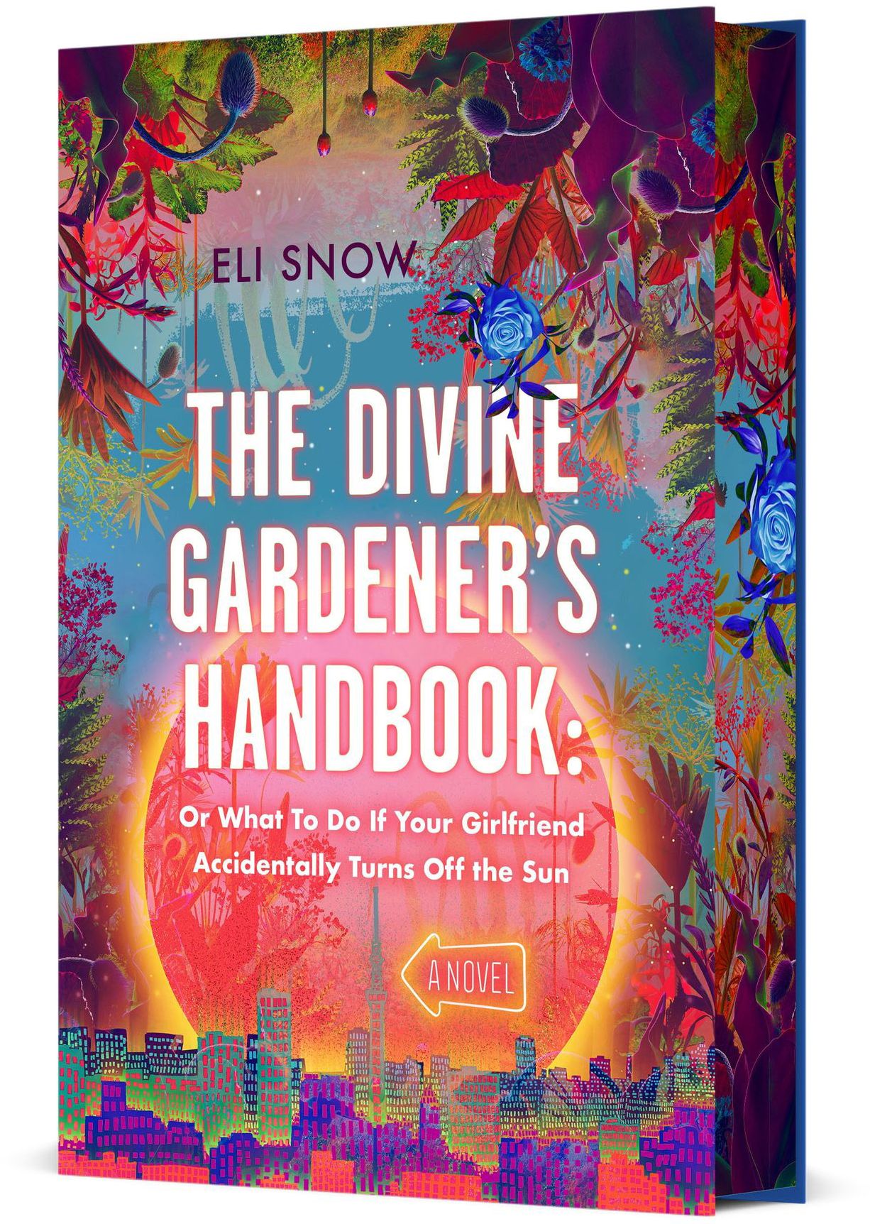 The Divine Gardener's Handbook: Or What To Do If Your Girlfriend Accidentally Turns Off the Sun: A Novel