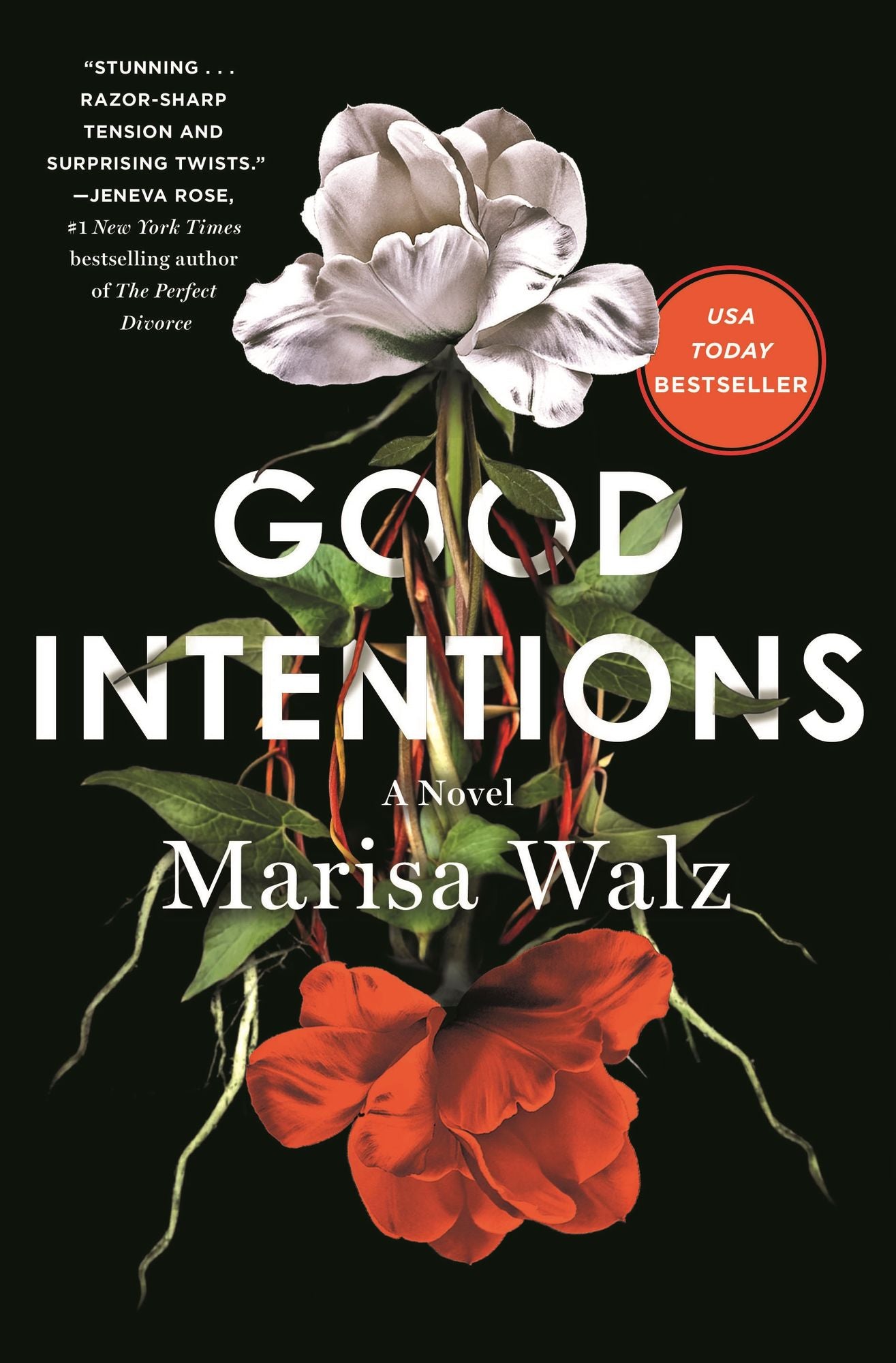 Good Intentions: A Novel