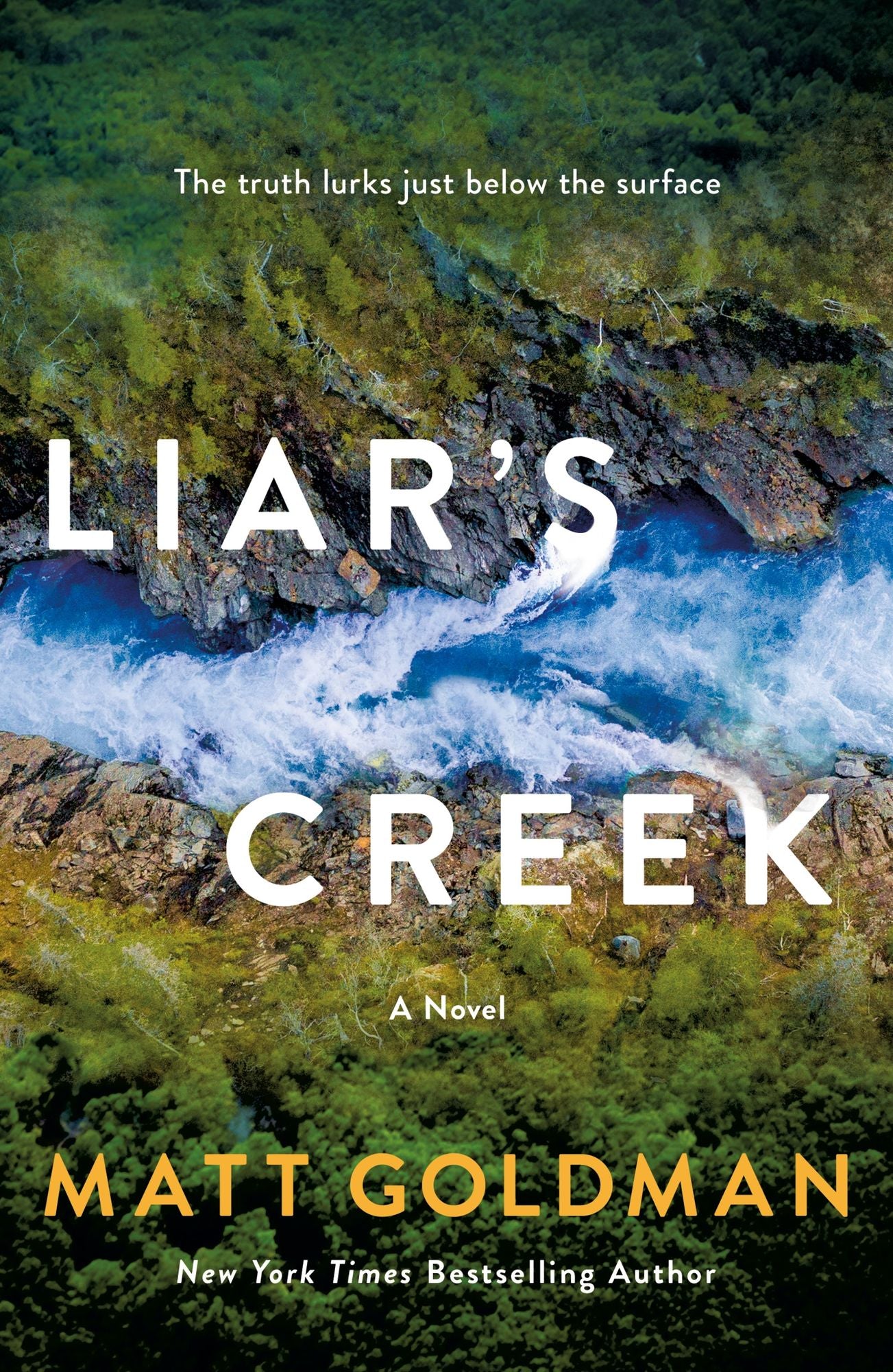Liar's Creek: A Novel